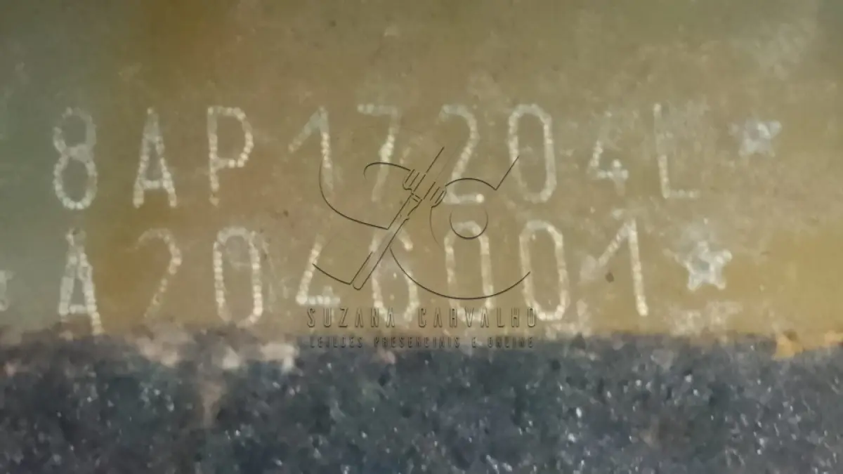 LOTE 003 - VEÍCULO FIAT