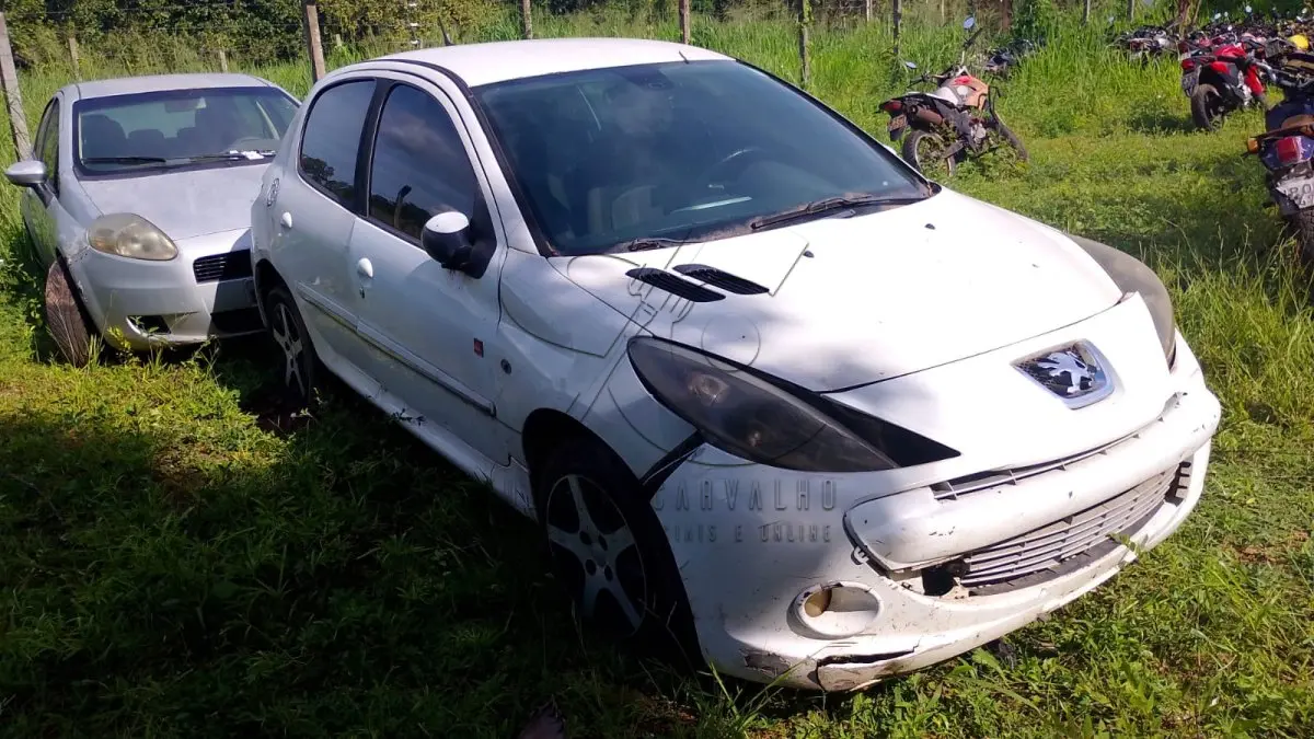 LOTE 013 - PEUGEOT/207 5P, 2011/2012