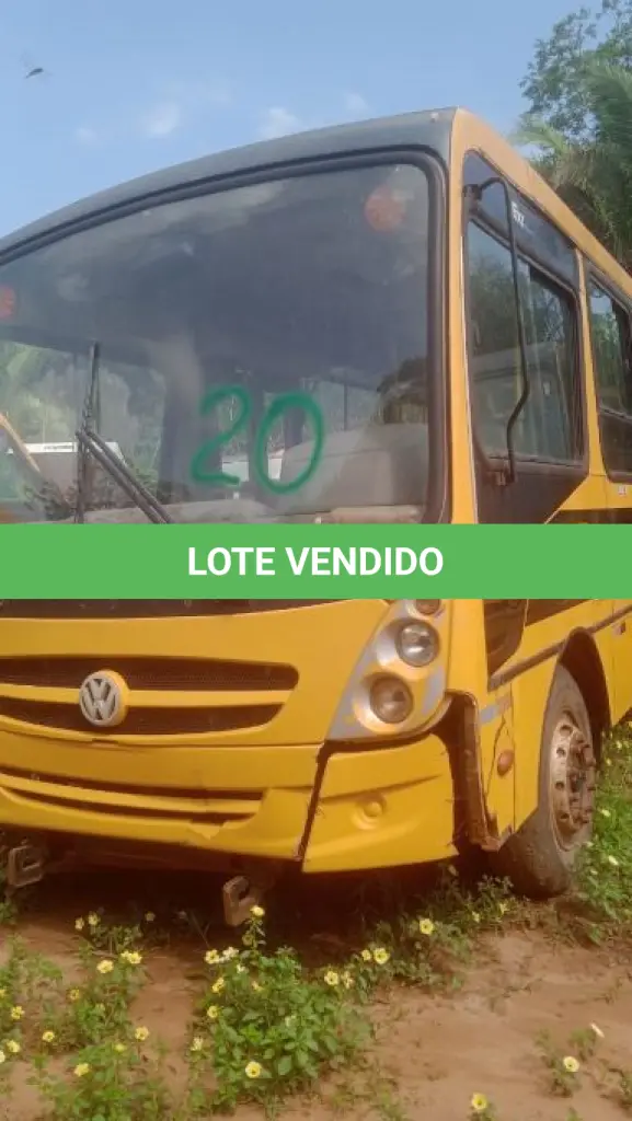 LOTE 020