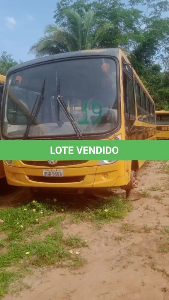 LOTE 019