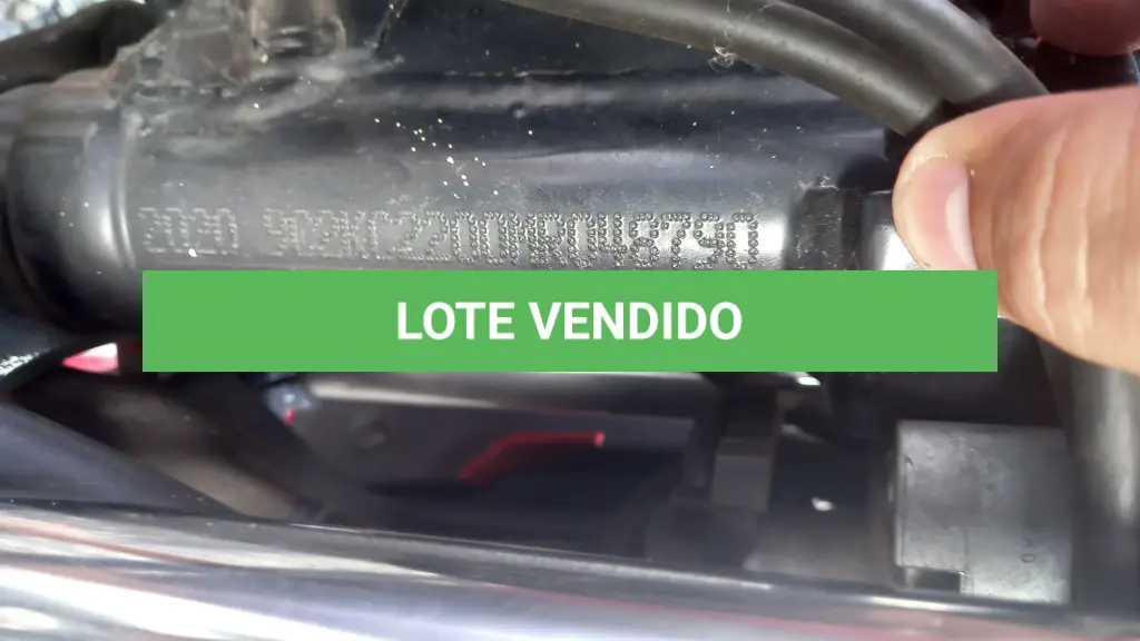 LOTE 007