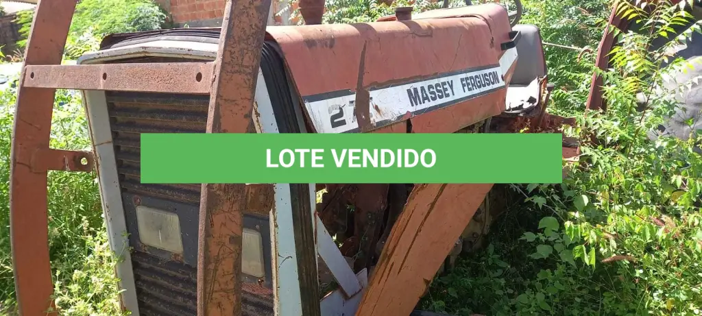 LOTE 011