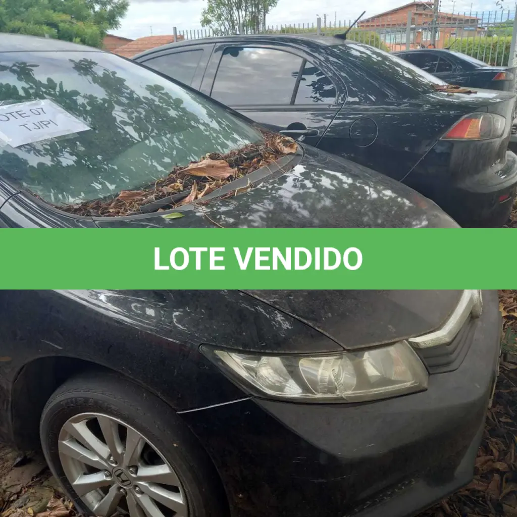 LOTE 007