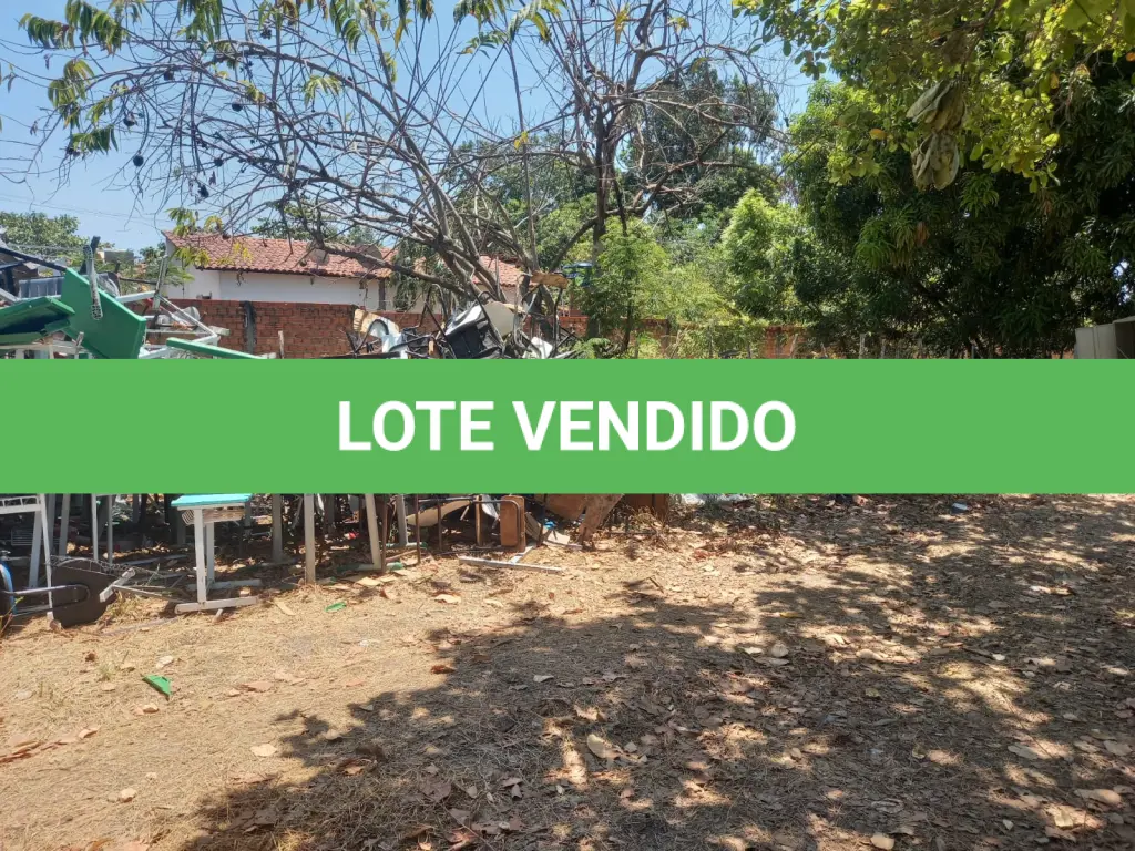 LOTE 003