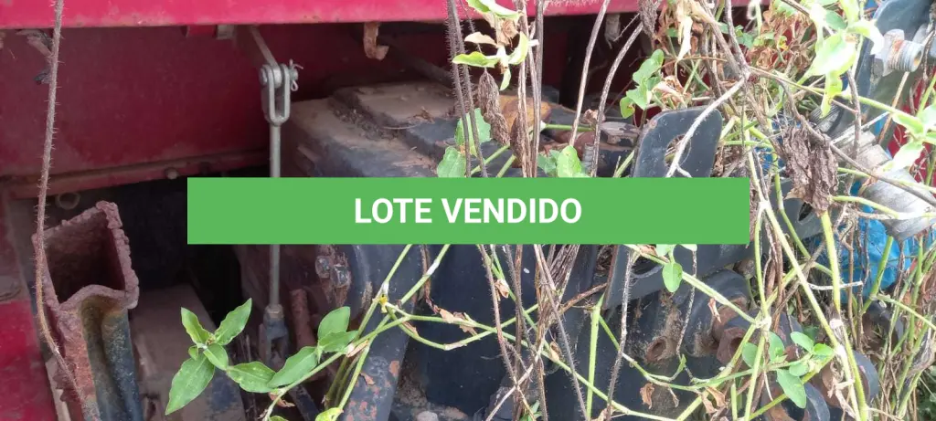 LOTE 013