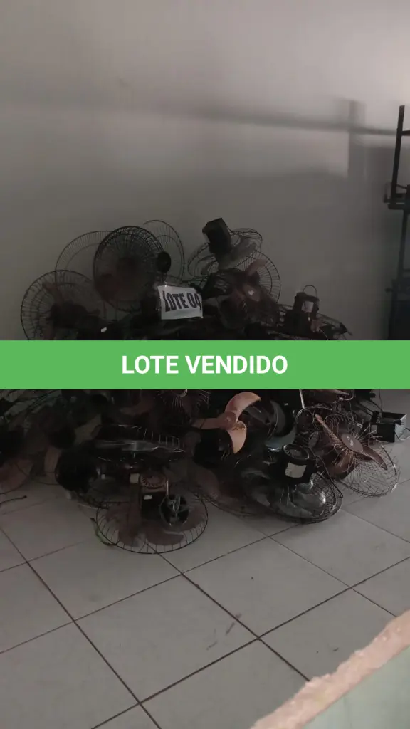 LOTE 004