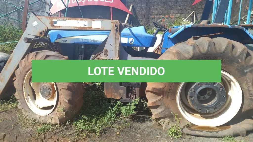 LOTE 028