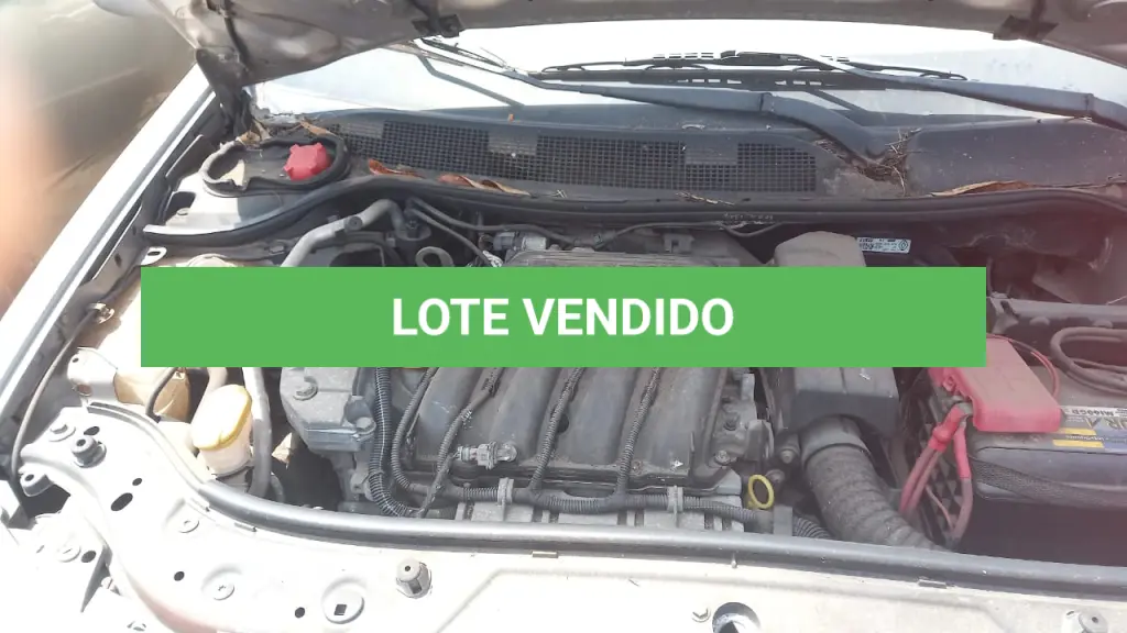 LOTE 013