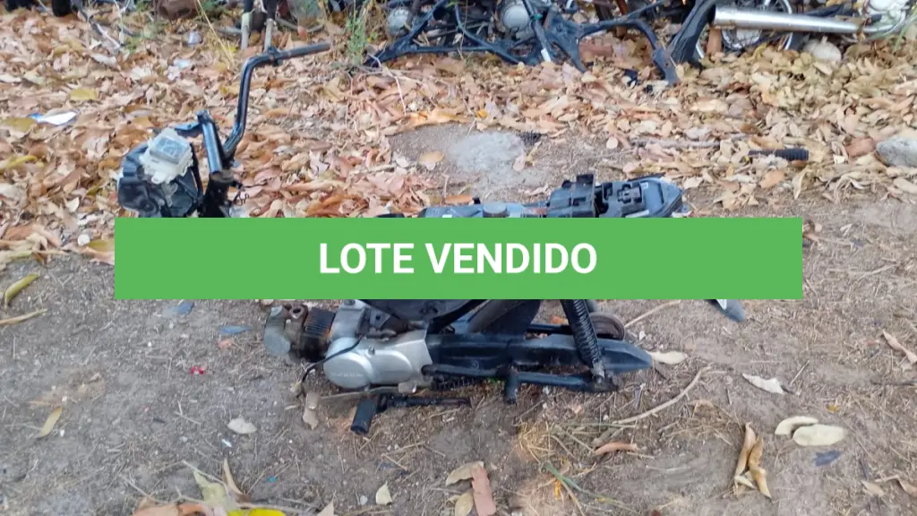 LOTE 003