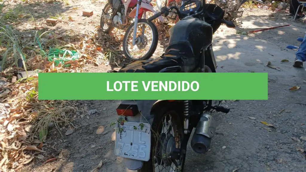 LOTE 006