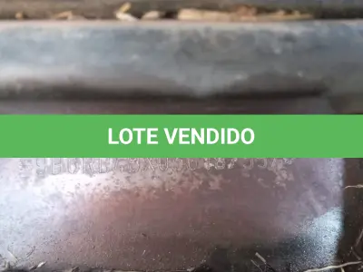 LOTE 002 - VEÍCULO GM  EM FLORIANO/PI