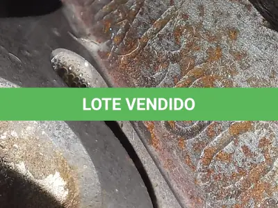 LOTE 004 - CELTA LIFE EM PARNAÍBA