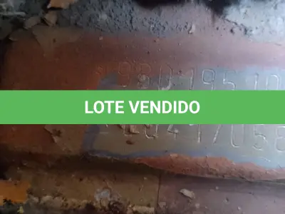 LOTE 004 - VEÍCULO FIAT