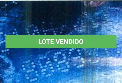 LOTE 012 - VEÍCULO FIAT PUNTO