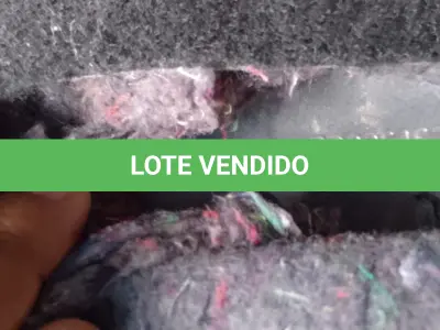 LOTE 005 - VW NIVUS HL TSI