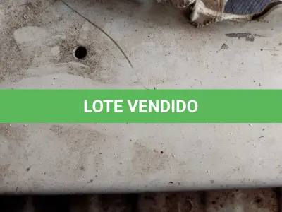 LOTE 008 - I BMW 320I ACTIVE FLEX