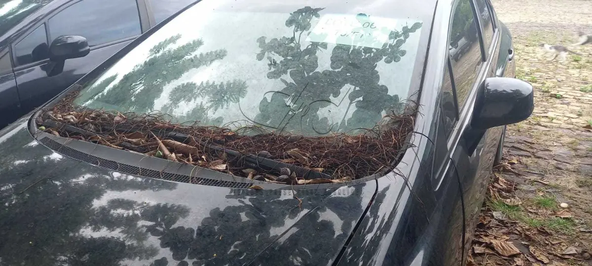 LOTE 006 - HONDA/CIVIC LXS AT