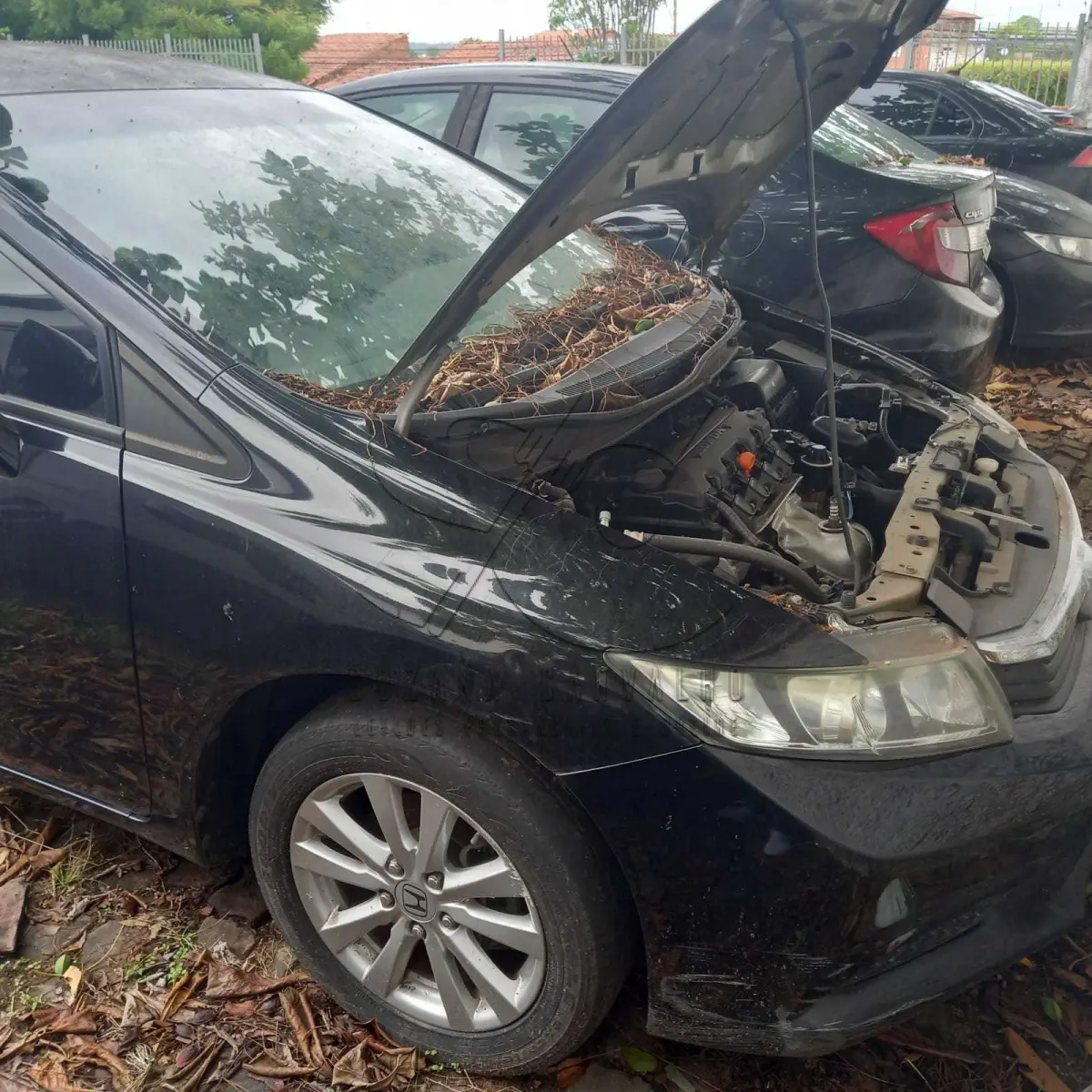 LOTE 006 - HONDA/CIVIC LXS AT