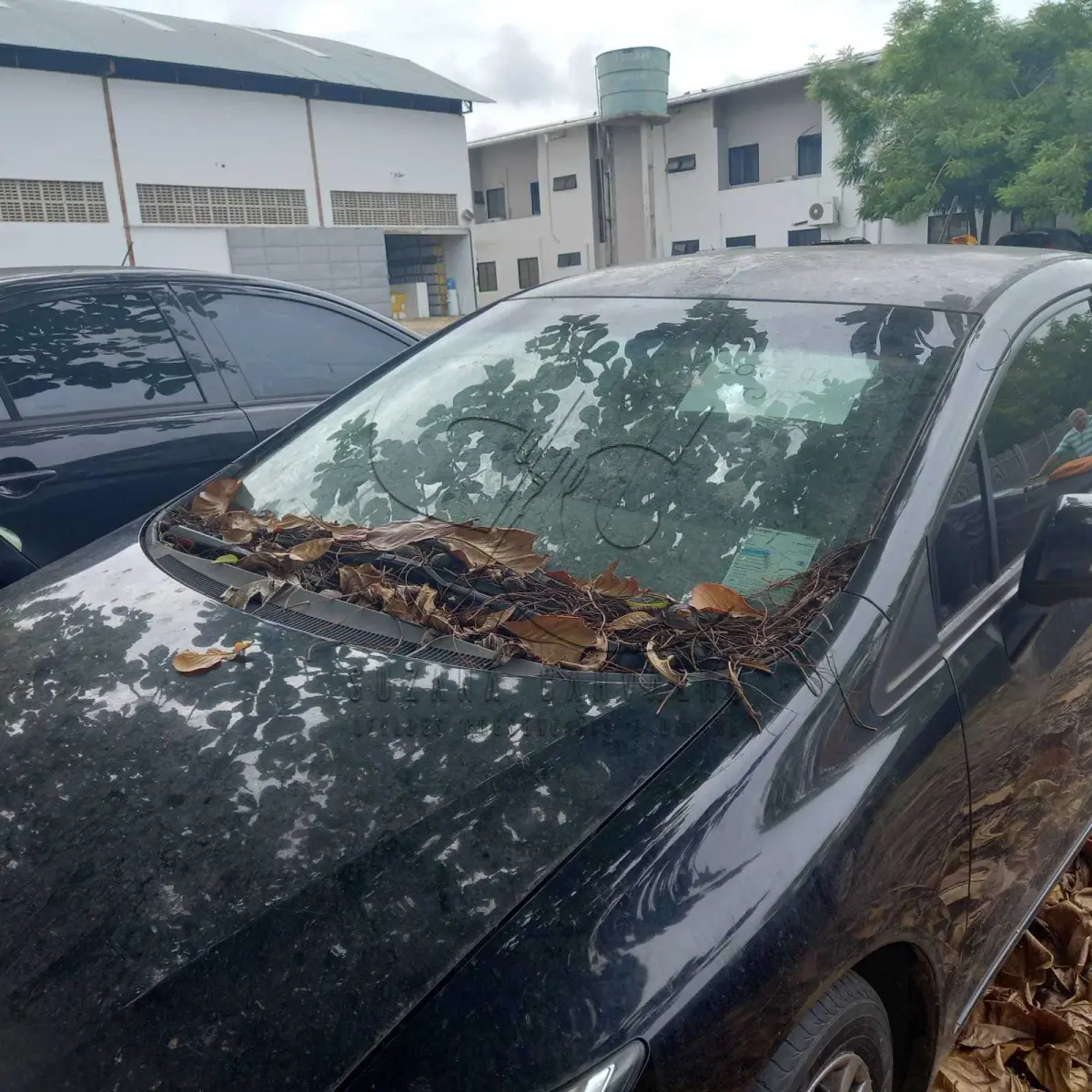 LOTE 004 - HONDA/CIVIC LXR