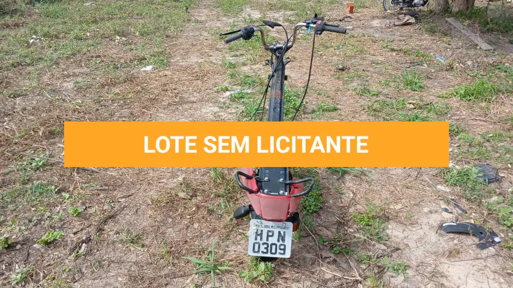 LOTE 008