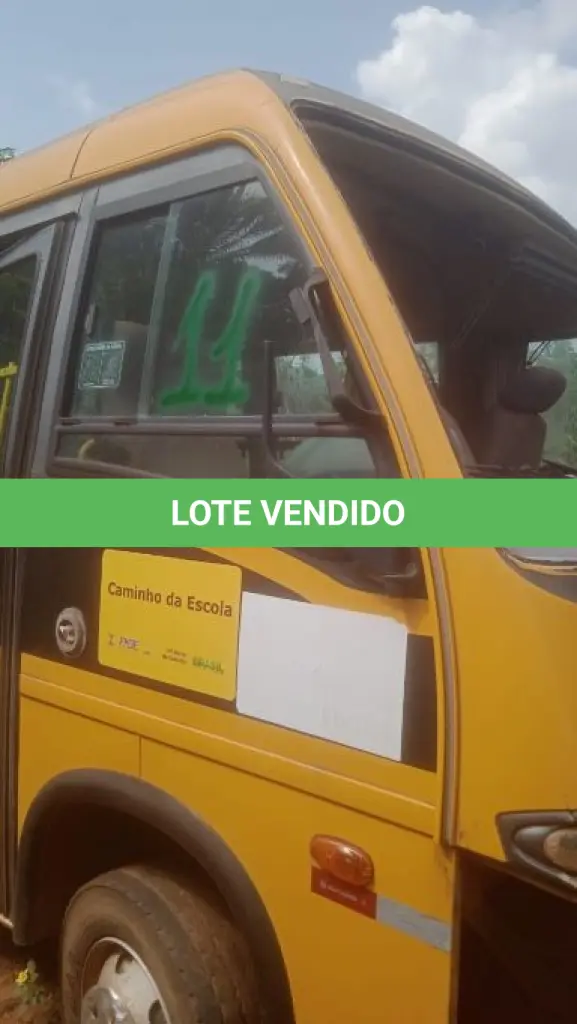 LOTE 011