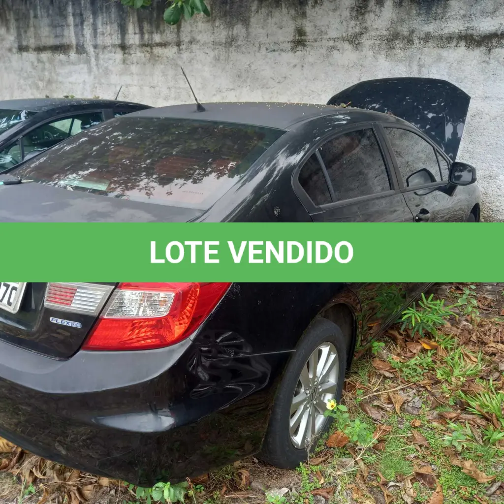 LOTE 006