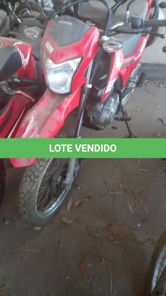 LOTE 002