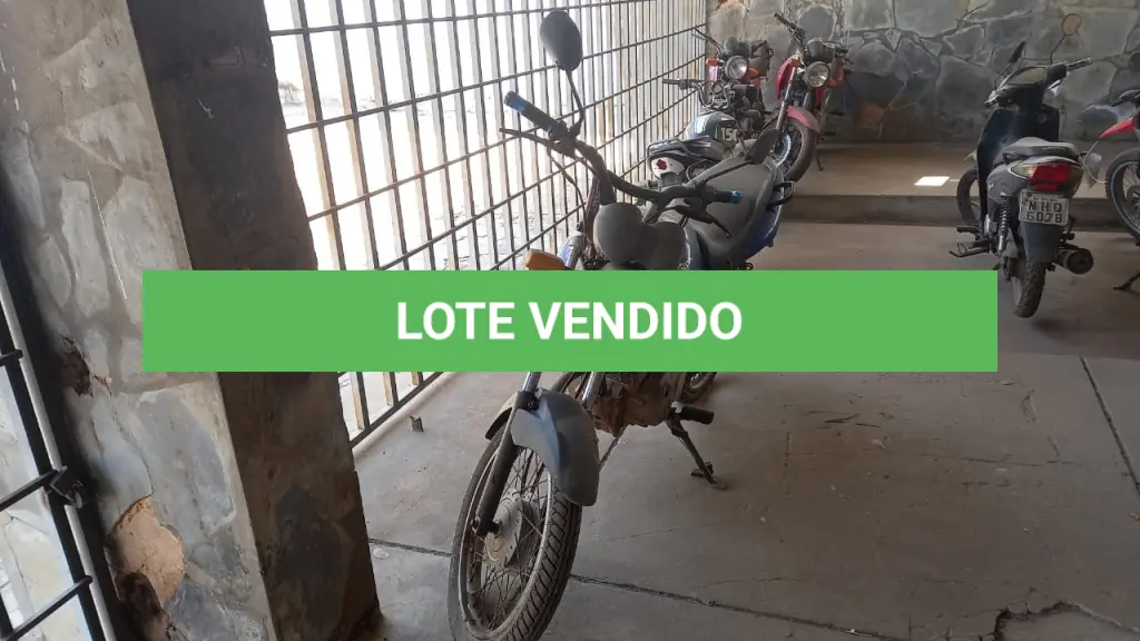 LOTE 011