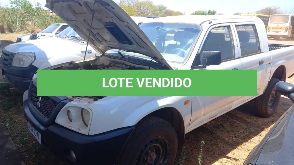LOTE 010