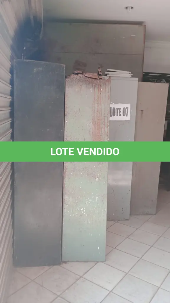 LOTE 007