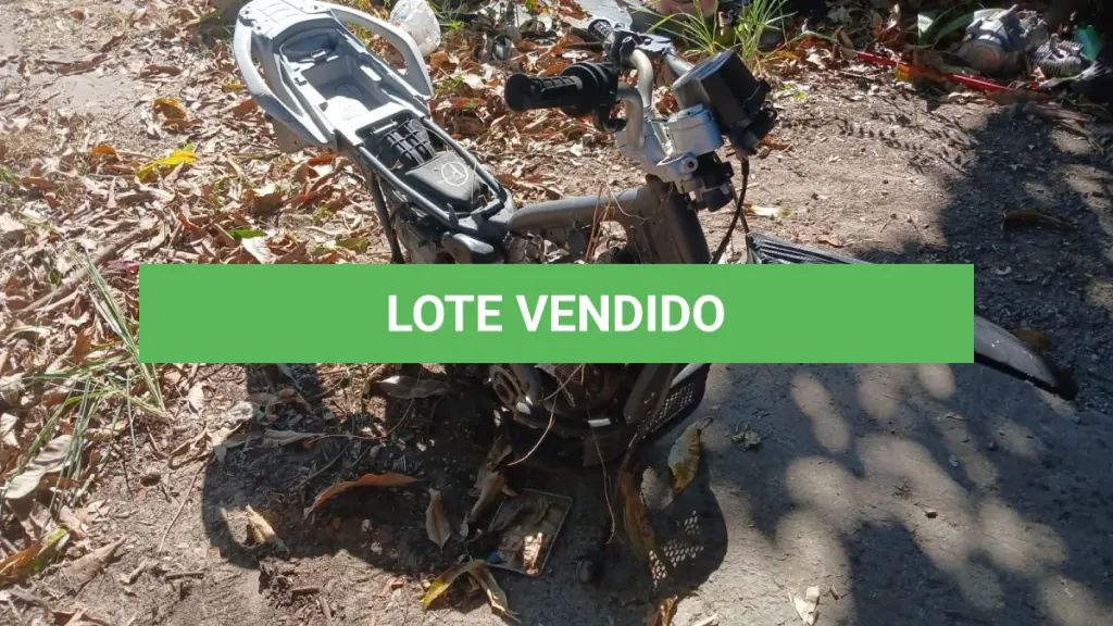 LOTE 013