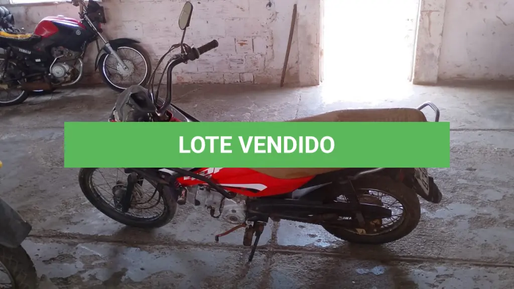 LOTE 008