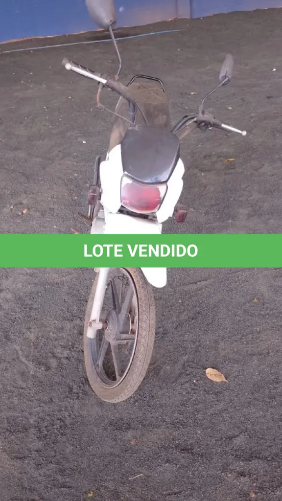 LOTE 007