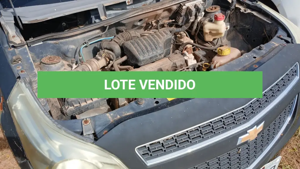 LOTE 001