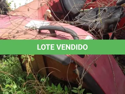 LOTE 013 - TRATOR (REPARTIDO)