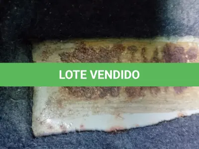 LOTE 011 - SUCATA FIAT PÁLIO ELX 2007/2008