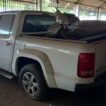 LOTE 003 - VW AMAROK CD 4X4 TREND