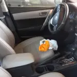 LOTE 002 - VEÍCULO TOYOTA