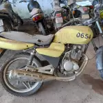 LOTE 001 - SUNDOWN MAX 125 SED