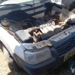 LOTE 009 - FIAT UNO