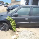 LOTE 015 - VEÍCULO RENAULT CLIO RL