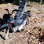 LOTE 014 - SUCATA HONDA POP 100 2015